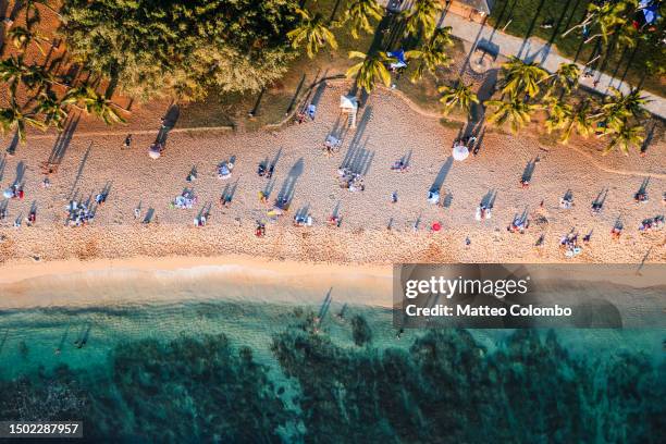 above waikiki beach crowded at sunset, hawaii - waikiki bildbanksfoton och bilder