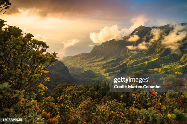 majestic valley at sunset, kauai island, hawaii - kauai stockfoto's en -beelden