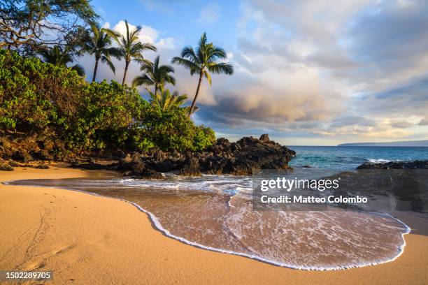 tropical beach at sunset, maui island, hawaii - maui fotografías e imágenes de stock