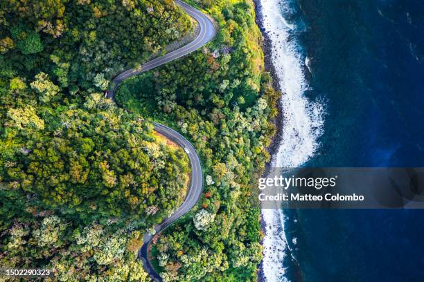 drone view of s shaped road along the coast - maui imagens e fotografias de stock