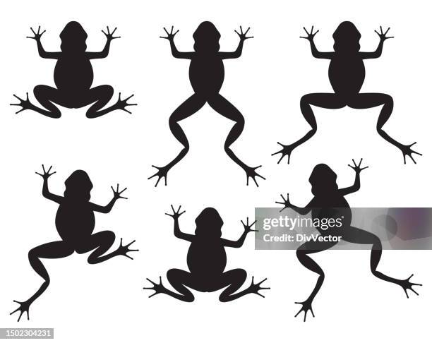 stockillustraties, clipart, cartoons en iconen met frog silhouette illustration - amphibian