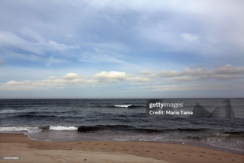 Increased Shark Sightings Along Cape Cod Coast Linked To Seal Population Growth