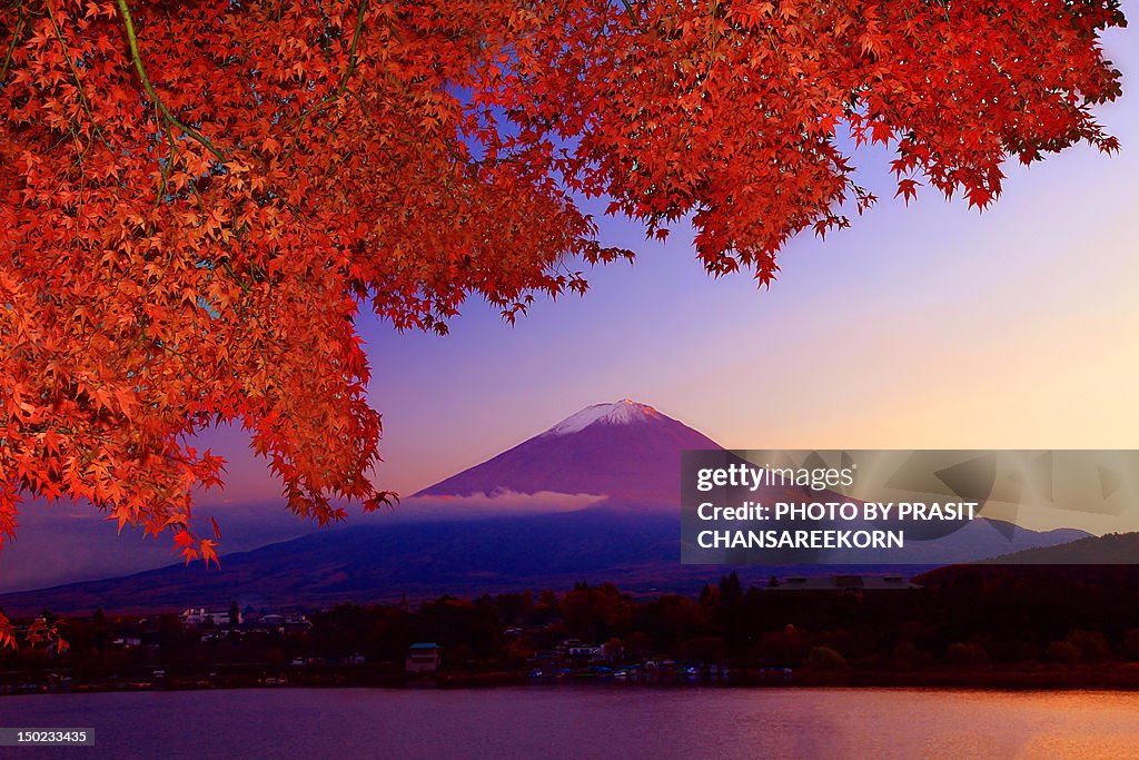 Mt Fuji with Red Maple tree