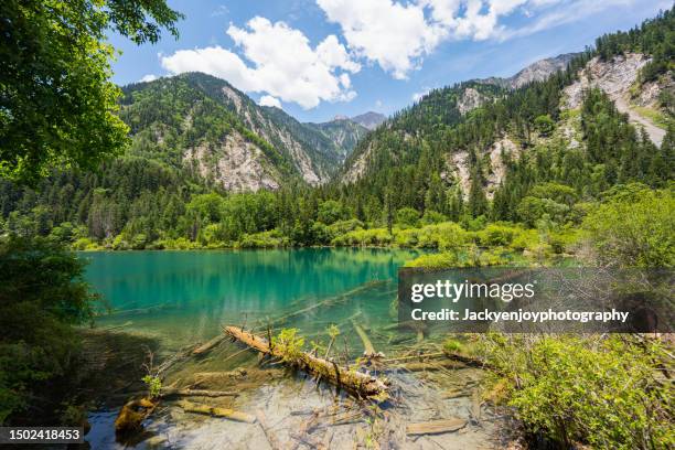 jiuzhaighou national park - jiuzhaigou imagens e fotografias de stock