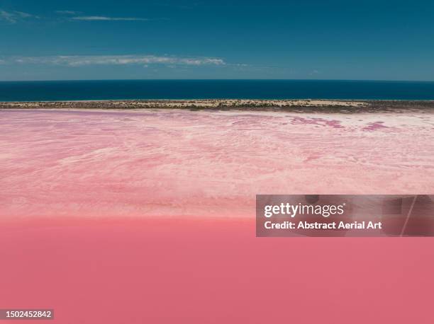 hutt lagoon photographed on a sunny day from an aerial point of view, western australia, australia - wonderlust stockfoto's en -beelden