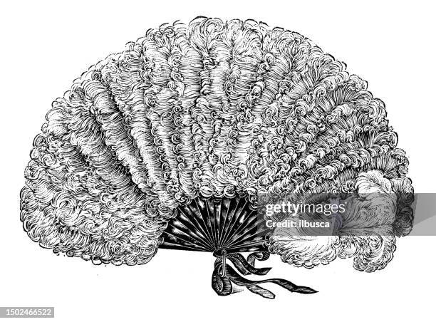 ilustraciones, imágenes clip art, dibujos animados e iconos de stock de imagen antigua de la revista británica: joyería, abanico de plumas de avestruz - pluma de avestruz