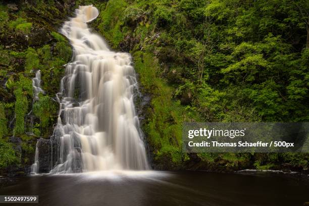 scenic view of waterfall in forest - insel irland stock pictures, royalty-free photos & images