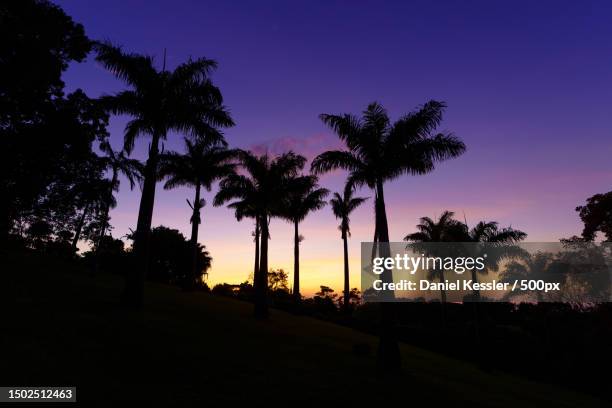 silhouette of palm trees against sky during sunset - ferien stock pictures, royalty-free photos & images