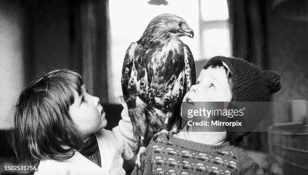 Kim and Gary Drake with pet buzzard Beauty, 1971.
