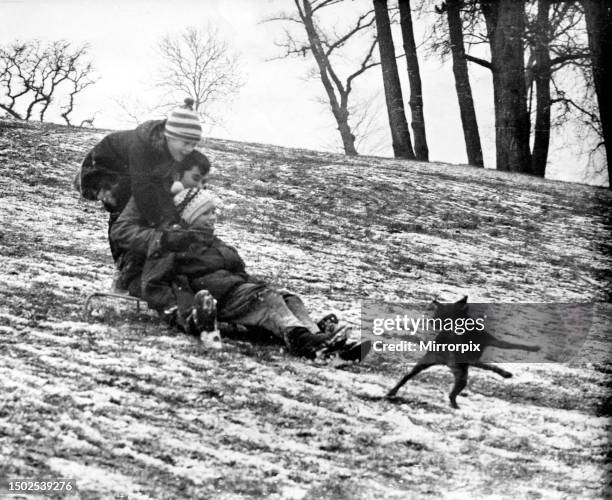 Children from the Fairwater area of Cardiff make the most of today's snow to go tobogganing - sledging on the slope at Fairwater park - Pic shows...