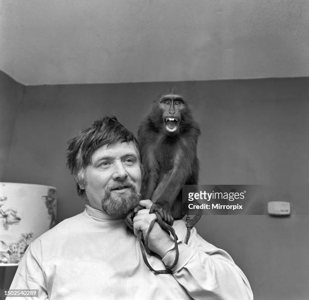 Bandleader and rugby supporter Ernest Baker with cheeky Abyssinian mountain ape on his shoulder, pictured last night at his grocery off-licence shop...