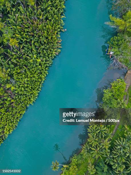 high angle view of plants by lake,bohol,philippines - bohol philippines stock pictures, royalty-free photos & images