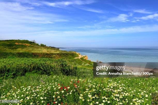 scenic view of sea against sky,abruzzo,italy - summer images stock pictures, royalty-free photos & images