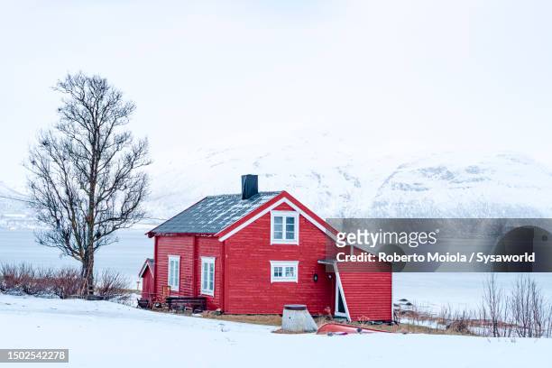 red cottage in the snow overlooking the frozen sea - fjord stockfoto's en -beelden