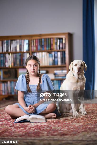 studious pre-teen reading her book - yellow lab stock pictures, royalty-free photos & images