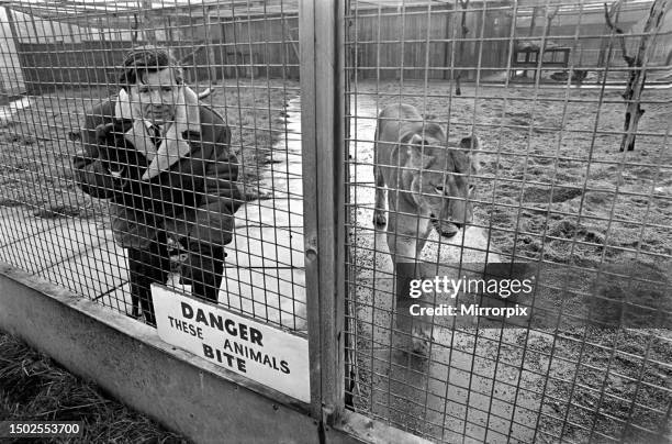 Man in a lion cage at Birmingham Zoo for a political demonstration. December 1969.