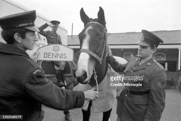 Dennis is the first Army horse to go into retirement under the recent agreement between the RSPCA and the Ministry of Defence. Today at the Beaumont...