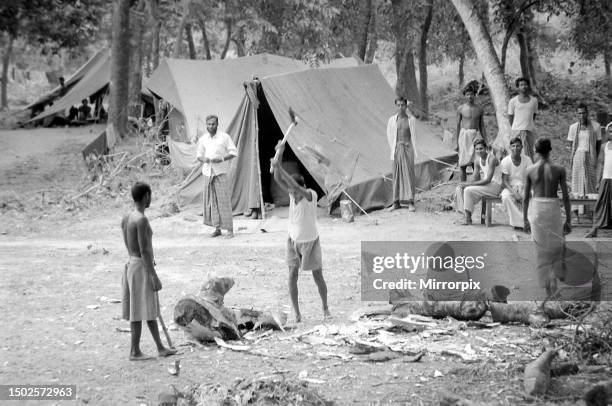 Large area of East Pakistan territory is under the control of the Bangladesh Freedom Fighters. These pictures were taken on patrol with an...