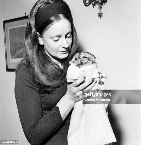 Mrs. Valerie Davies who is caring for Fred the injured owl. January 1971.