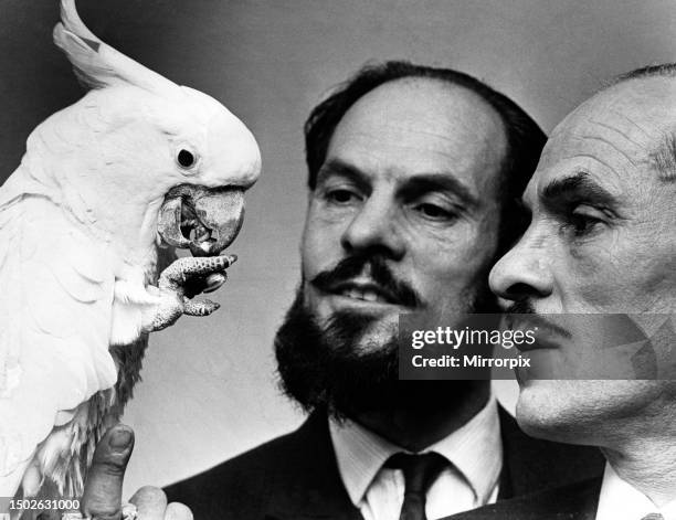 The proprietors of Cardiff Zoo, the identical twin brothers, Hugh Palmer and George with one of their animals, Sam a Sulphur Crested Cockatoo. The...