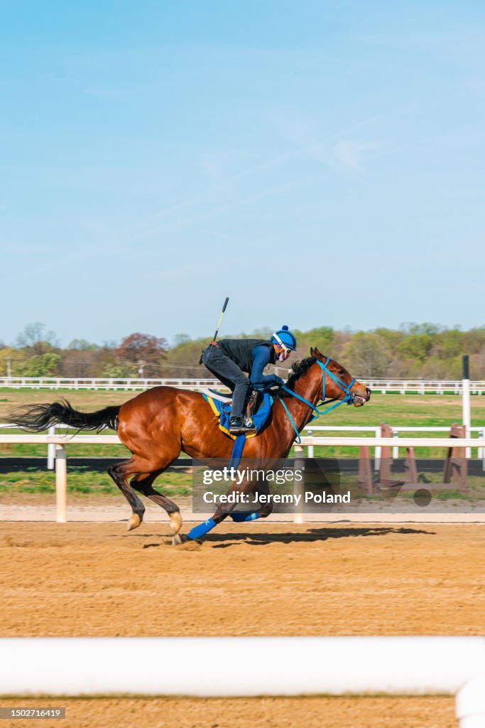 Jockey Breezing a Thoroughbred Race Horse in a Training Session
