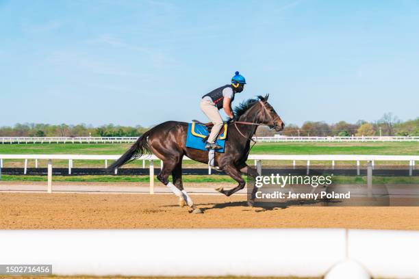 jockey con un caballo de carreras de pura sangre para hacer ejercicio en un día soleado - galope fotografías e imágenes de stock