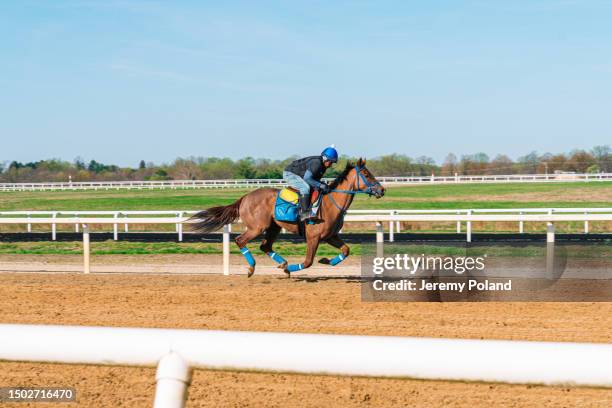 treinador de cavalos de corrida breezing um puro-sangue em uma pista de terra - corrida de cavalos evento equestre - fotografias e filmes do acervo