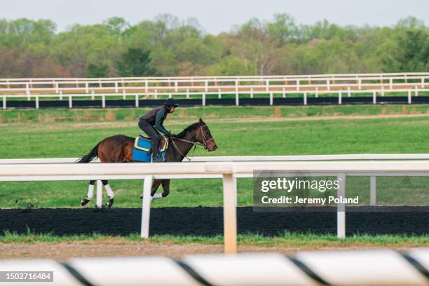 jockey breezing a race horse on an artificial track - trotter stock pictures, royalty-free photos & images