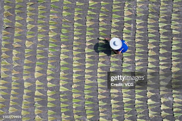 Aerial view of a villager drying Chinese fan palm leaves on June 27, 2023 in Neijiang, Sichuan Province of China.