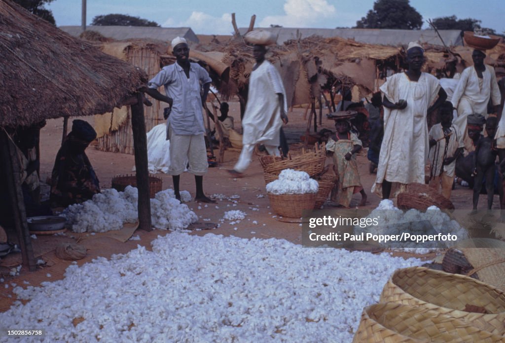Traders And Customers Gather Round A Stall Selling Raw Cotton Bolls traders-and-customers-gather-round-a-stall-selling-raw-cotton-bolls