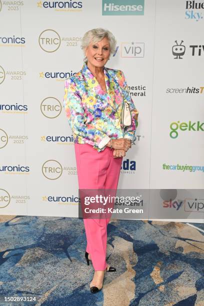 Angela Rippon attends The TRIC Awards 2023 at Grosvenor House on June 27, 2023 in London, England.