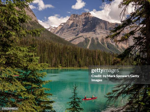 emerald lake, yoho national park, canada - canadese rocky mountains stockfoto's en -beelden