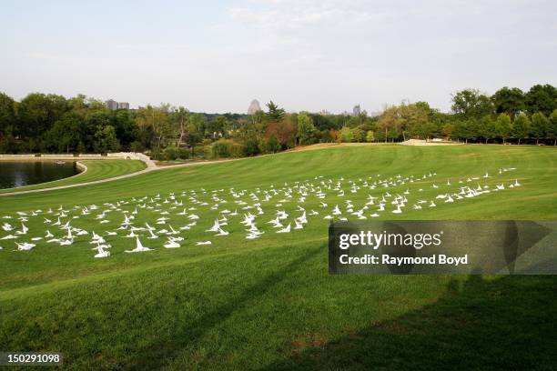 Hand-folded origami paper cranes, on Art Hil in front of the St. Louis Art Museuml. The one day memorial was for fallen first responders, in St....