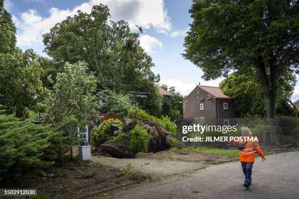 Pedestrian uses a smartphone to take images of a tree which fell on a house at the Azaleastraat in Heerenveen on July 5 which was blown down during...