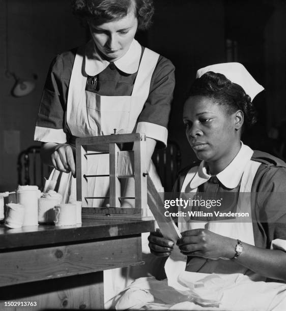 British student nurse Jean Bulpitt and Jamaican student nurse Ema Cooper rolling bandages, as part of their nursing training, at St Albans City...