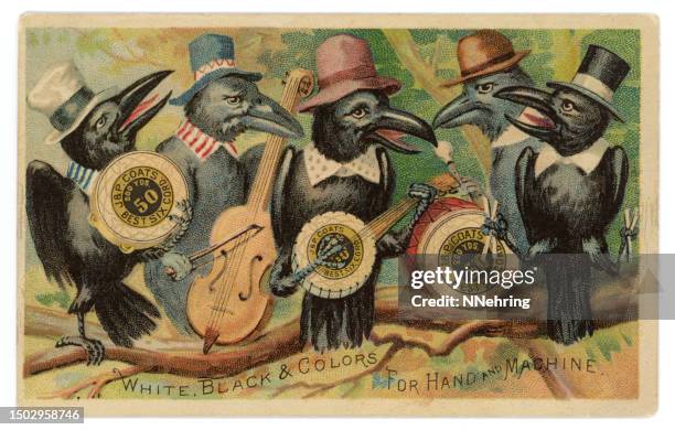 chromolithograph of crow band in tree - percussion instrument stock illustrations