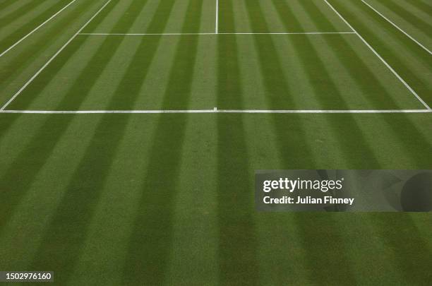 Shot of the untouched grass is seen ahead of The Championships Wimbledon 2023 at All England Lawn Tennis and Croquet Club on June 27, 2023 in London,...