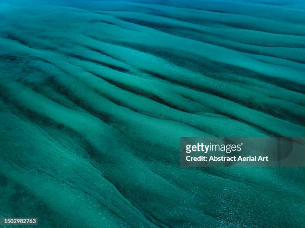 ocean floor in shark bay photographed from an aerial perspective, western australia, australia - indiska oceanen bildbanksfoton och bilder