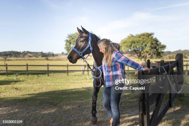 donna che entra nel recinto rotondo con il suo cavallo - ranch foto e immagini stock
