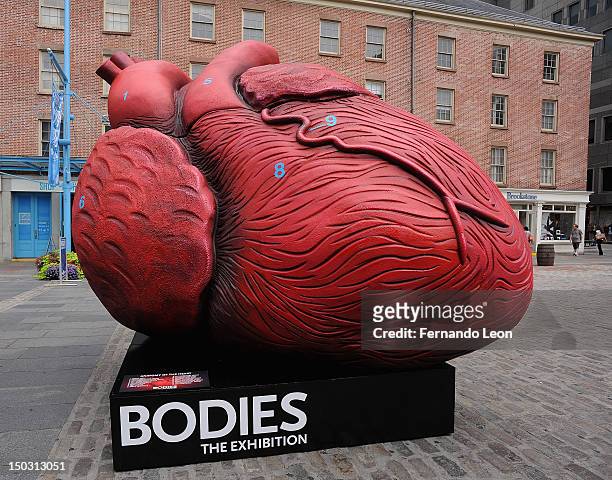 Bodies...The Exhibition unveils Huge Heart Statue at South Street Seaport on August 15, 2012 in New York City.