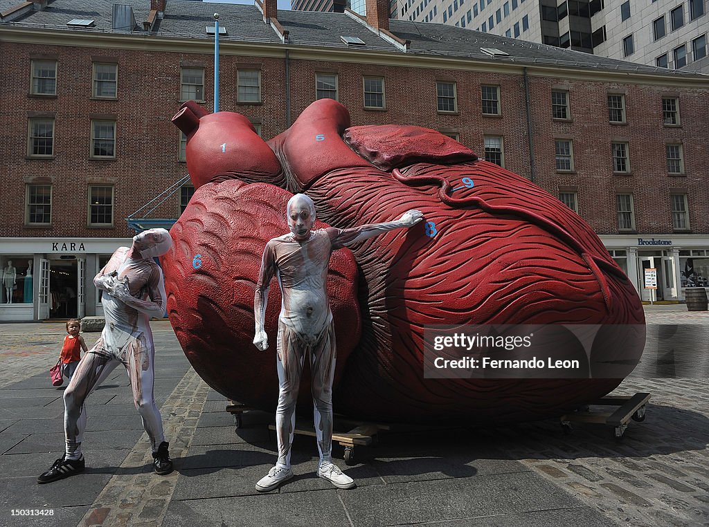 "Bodies...The Exhibition" Unveils Huge Heart Statue at South Street Seaport