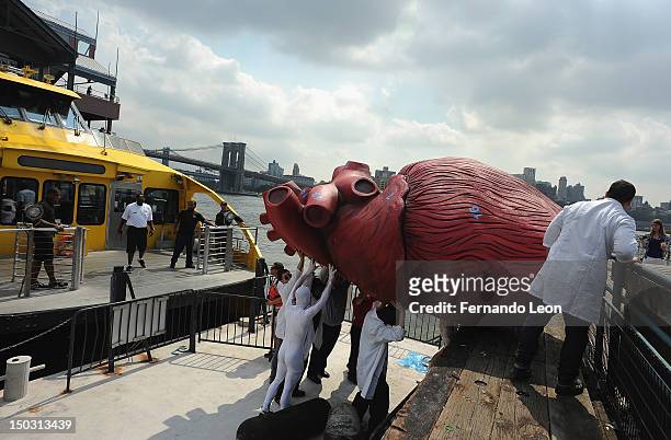 Bodies...The Exhibition" docents unload a Huge Heart Statue off of a NYC Water Taxi at South Street Seaport on August 15, 2012 in New York City.