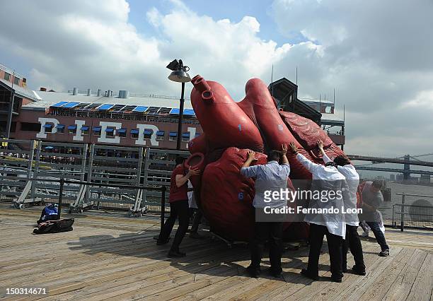 Bodies... The Exhibition" docents carry a Huge Heart Statue at South Street Seaport on August 15, 2012 in New York City.