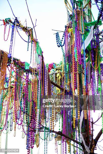 new orleans louisiana tree covered in mardi gra colorful beads - mardi gras fun in new orleans stockfoto's en -beelden