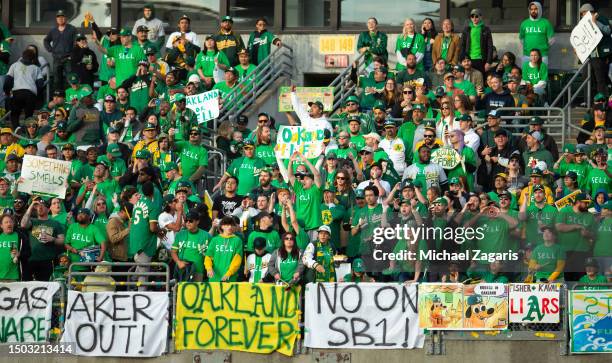 Fans of the Oakland Athletics take part in a reverse boycott during the game against the Tampa Bay Rays at RingCentral Coliseum on June 13, 2023 in...