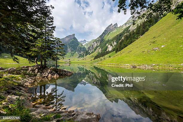 canton of appenzell - appenzell innerrhoden stock pictures, royalty-free photos & images