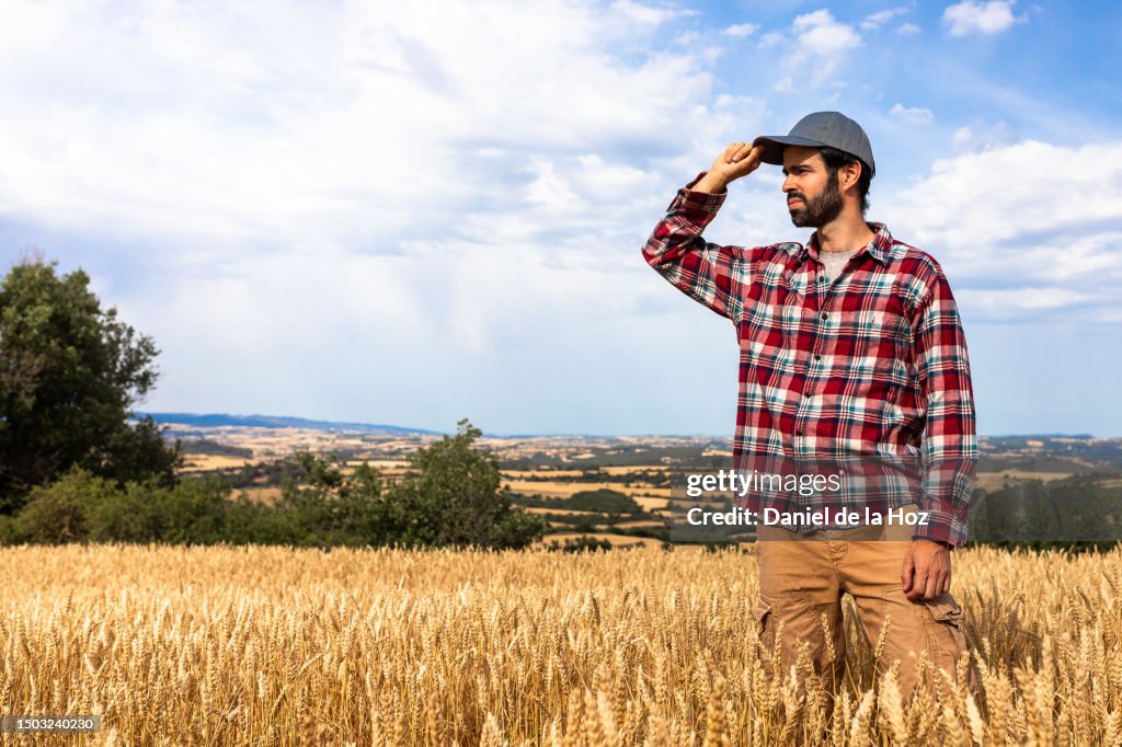 Young male farmer looking at his vast golden field of wheat. Copy space. Agriculture