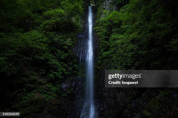 waterfall - isogawyi stock pictures, royalty-free photos & images