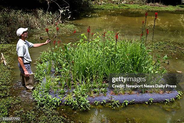 Professor Randy Combs Mary Ward College Photos and Premium High Res Pictures - Getty Images