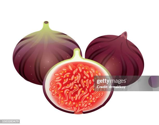 figs - figs stock illustrations